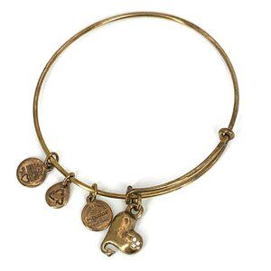 Alex and Ani Devil Heart Crystal Charm Bracelet Gold - Expands 2"- 3.5"